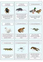 Vorschau - Spiele - Lernspiel Tiere im und am Wasser - Seite 2