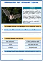 Vorschau - Arbeitsblätter - Fledermaus-Freebie – 3 Arbeitsblätter mit Lösungen | Klasse 3/4 - Seite 1