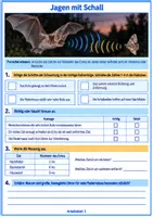 Vorschau - Arbeitsblätter - Fledermaus-Freebie – 3 Arbeitsblätter mit Lösungen | Klasse 3/4 - Seite 3