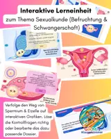 Vorschau - Interaktives Material - Sexualkunde: Befruchtung - interaktive Lerneinheit - Deckblatt