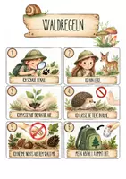 Vorschau - Unterrichtsreihen - Wald – Mein Forscherheft | Forschungsaufträge & Wald-Aktivitäten für die 1./2. Klasse - Seite 3