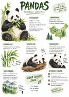 Vorschau - Arbeitsblätter - Lernplakat + AB mit Fragen zum Thema "Pandas" + Lösungsblatt + Infografik - Deckblatt