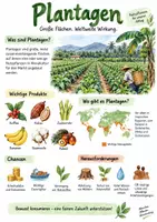 Vorschau - Arbeitsblätter - Lernplakat + AB mit Fragen zum Thema "Plantagen" + Lösungsblatt + Infografik - Deckblatt