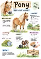 Vorschau - Arbeitsblätter - Lernplakat + AB mit Fragen zum Thema "Pony" + Lösungsblatt + Infografik - Seite 1
