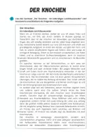 Vorschau - Arbeitsblätter - Sportbiologische Grundlagen ⎮ Skelettsystem - Der Knochen - Sachtext mit Aufgaben für Klasse 10 bis 13 - Seite 1