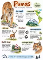 Vorschau - Arbeitsblätter - Lernplakat + AB mit Fragen zum Thema "Puma" + Lösungsblatt + Infografik - Deckblatt
