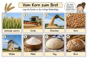 Vorschau - Arbeitsblätter - Getreide. Getreidearten vom Korn zum Brot Arbeitsblätter und Tafelmaterial - Seite 1