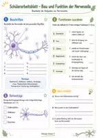 Vorschau - Arbeitsblätter - Wanyvo´s Lernspuren Das Neuron - Seite 1