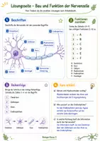 Vorschau - Arbeitsblätter - Wanyvo´s Lernspuren Das Neuron - Seite 2