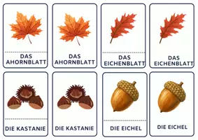 Vorschau - Arbeitsblätter - Herbst-Materialpaket - Lesen, Entdecken & Lernen / Klasse 1-4 - Seite 2
