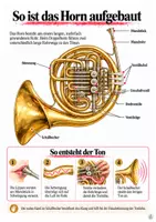 Vorschau - Arbeitsblätter - Das Horn – Instrumentenkunde mit Hörbeispielen, Aufbau und Quiz - Seite 2