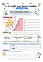 Vorschau - Arbeitsblätter - Wanyvo´s Lernspuren Nervengifte und Drogen - Seite 3