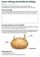 Vorschau - Arbeitsblätter - Kartoffel – Mission Kartoffelernte | Sachunterricht Klasse 4 - Seite 2