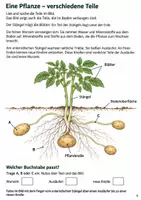 Vorschau - Arbeitsblätter - Kartoffel – Mission Kartoffelernte | Sachunterricht Klasse 4 - Seite 3