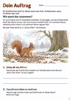 Vorschau - Arbeitsblätter - Eichhörnchen im Winter – Mission Wintervorrat | Sachunterricht Klasse 4 - Seite 2