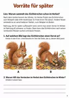 Vorschau - Arbeitsblätter - Eichhörnchen im Winter – Mission Wintervorrat | Sachunterricht Klasse 4 - Seite 3