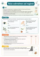 Vorschau - Arbeitsblätter - Kennzeichen des Lebendigen kompakt – Wie erkennt man Lebewesen? – Biologie, Klasse 5–6 - Seite 3