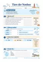 Vorschau - Arbeitsblätter - Nordsee – Arbeitsmaterial Sachunterricht Klasse 3/4 | Arbeitsblätter - Seite 3