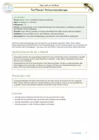 Vorschau - Anderer Materialtyp - Biene - 5 Achtsamkeitsübungen drinnen oder draußen - Seite 1
