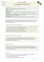 Vorschau - Anderer Materialtyp - Achtsamkeit Biene - Honigmeditation - Seite 1