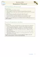 Vorschau - Anderer Materialtyp - Achtsamkeit Biene - Honigmeditation - Seite 3
