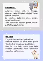 Vorschau - Stationenlernen - Lesetexte Wildtiere Klasse 2 Leseband Lesetandem - Seite 3