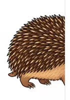 Vorschau - Arbeitsblätter - Der Igel - Körperbau - Klasse 1-2 - Seite 3