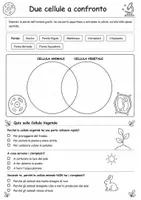 anteprima - Esercizi - CELLULA ANIMALE E VEGETALE - Pagina 2
