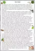 Vorschau - Arbeitsblätter - Wald – Sachtext & Leseverstehen | Klasse 3–4 | Sachunterricht - Seite 2