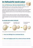 Vorschau - Arbeitsblätter - Hefe und Brotteig – Mission Hefeteig | Sachunterricht Klasse 4 - Seite 3