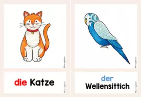 Vorschau - Bildkarten - Bild- und Wortkarten Tiere - DaZ Unterricht (A1) - Seite 3