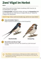 Vorschau - Arbeitsblätter - Herbst und Winter erforschen: 5 Natur-Missionen | Sachunterricht Klasse 4 - Seite 3