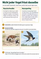Vorschau - Arbeitsblätter - Vogelzug – Mission Vogelzug | Sachunterricht Klasse 4 - Seite 3