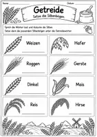 Vorschau - Arbeitsblätter - Getreide Differenzierung - Seite 1
