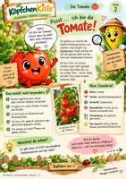 Vorschau - Arbeitsblätter - 🍅 Die Tomate – Entdecken, Lernen & Verstehen - Seite 2