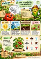 Vorschau - Arbeitsblätter - 🍅 Die Tomate – Entdecken, Lernen & Verstehen - Seite 3