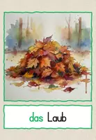 Vorschau - Fördermaterial/Inklusion - Herbst: Bild- und Wortkarten - DaZ/ DaF Wortschatz - Seite 2