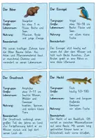 Vorschau - Arbeitsblätter - Tiere im und am Wasser Freebie - Seite 1