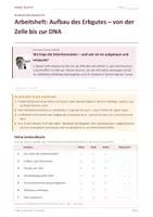 Vorschau - Arbeitsblätter - Arbeitsheft: Aufbau des Erbgutes - Seite 1