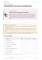 Vorschau - Arbeitsblätter - Arbeitsheft: Vom Gen zum Merkmal - Deckblatt