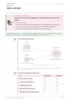 Vorschau - Arbeitsblätter - Arbeitsheft: Vererbungslehre - Seite 2