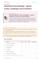 Vorschau - Arbeitsblätter - Materialpaket: Arbeitshefte Klasse 10 Biologie - Seite 1