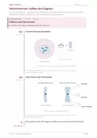 Vorschau - Stationenlernen - Stationenlernen: Aufbau des Erbgutes - Deckblatt