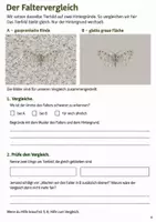 Vorschau - Arbeitsblätter - Tarnung bei Tieren – Mission Unsichtbar | Sachunterricht Klasse 4 - Seite 3