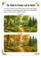 Vorschau - Arbeitsblätter - Alles rund um den Herbstwald – Wissens- und Mitmachheft (Kita–1. Klasse) - Seite 1