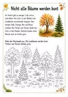 Vorschau - Arbeitsblätter - Alles rund um den Herbstwald – Wissens- und Mitmachheft (Kita–1. Klasse) - Seite 2