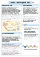Vorschau - Arbeitsblätter - Eiweiße - ohne sie geht es nicht - Deckblatt