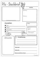 Vorschau - Arbeitsblätter - Vorlage Steckbrief Pilz inkl. Ausfüllhilfe - Deckblatt