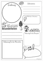Vorschau - Arbeitsblätter - Vorlage Steckbrief Pilz inkl. Ausfüllhilfe - Seite 1
