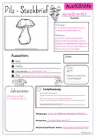 Vorschau - Arbeitsblätter - Vorlage Steckbrief Pilz inkl. Ausfüllhilfe - Seite 2